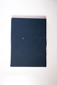 Ludwig Feuerbach Und Die Nicht-Menschliche Natur: Das Wesen Der Religion