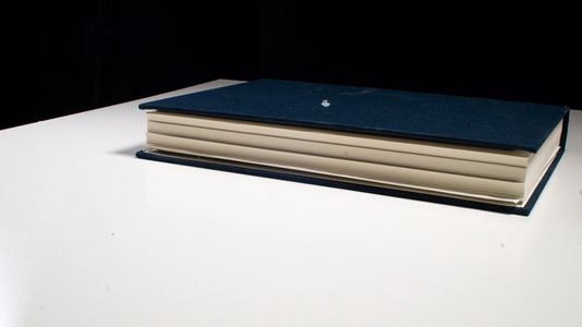 Ludwig Feuerbach Und Die Nicht-Menschliche Natur: Das Wesen Der Religion