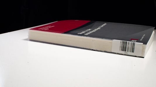 Shoah in der deutschsprachigen Literatur - Eke, Norbert Otto; Steinecke, Hartmut