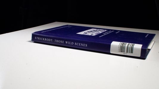Those wild Scenes: Africa in the Travel Writings of Sarah Lee (1791-1856) 