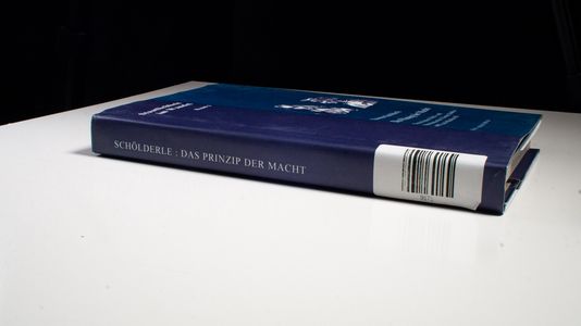 Das Prinzip der Macht: Neuzeitliches Politik- und Staatsdenken bei Thomas Hobbes und Niccolo Machiavelli (Staatlichkeit im Wandel)