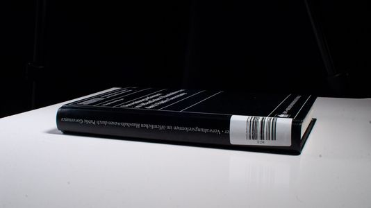 Verwaltungsreformen im öffentlichen Haushaltswesen durch Public Governance: Diss. (Schriften zur öffentlichen Verwaltung und öffentlichen Wirtschaft) - Bleyer, Magdalena