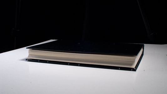 Verwaltungsreformen im öffentlichen Haushaltswesen durch Public Governance: Diss. (Schriften zur öffentlichen Verwaltung und öffentlichen Wirtschaft) - Bleyer, Magdalena