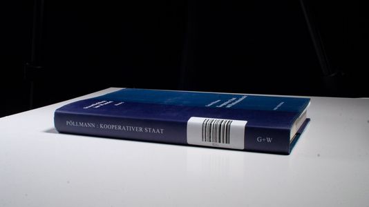 Kooperativer Staat und Parteiendemokratie (Staatlichkeit im Wandel) - Guido Pöllmann