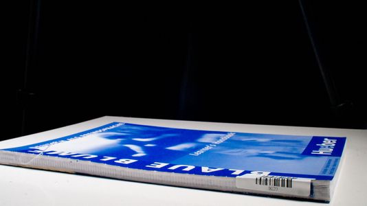 Blaue Blume: Englische Ausgabe. Deutsch Als Fremdsprache