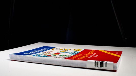 Das 30 Tage-Trainings-Programm. Kommunikation und Rhetorik - Birkenbihl, Vera F.