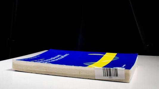 Mediamorphosen des Kulturschaffens (Musik und Gesellschaft) - Smudits, Alfred