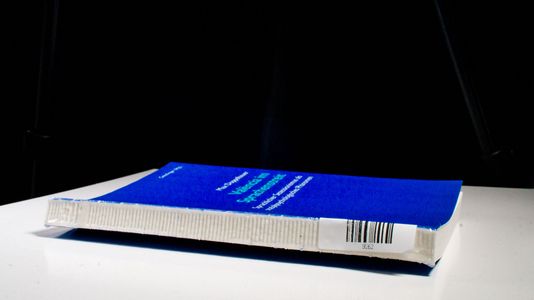 València im Sprachenstreit: Sprachlicher Sezessionismus als sozialpsychologisches Phänomen - Max Doppelbauer