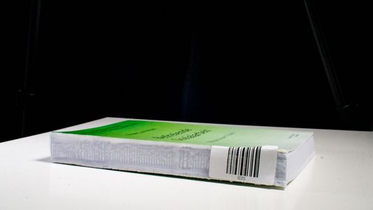 Befreiende Sozialarbeit - Skizzen einer Vision - Lutz, Ronald