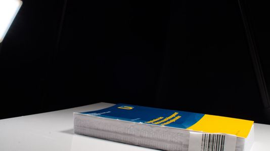 Organisation des Global-Account-Management im Industriegütersektor (Duisburger Betriebswirtschaftliche Schriften, Band 22) - Lockau, Ina