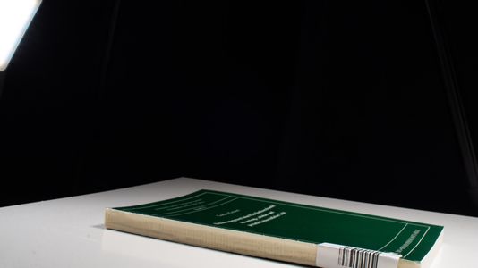 Risikomanagement beim B2B-Filmlizenzhandel aus vertrags-, urheber- und persönlichkeitsrechtlicher Sicht