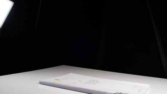 Die Bedeutung extrakranieller Verletzungen auf die zerebrale Oxygenierung und die Prognose von Patienten mit schwerem Schädel-Hirn-Trauma - Elvira Peltonen
