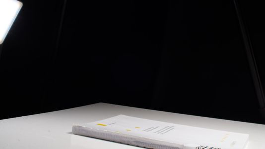 Gestationsdiabetes bei Zwillingsschwangerschaften - Silke Bertram