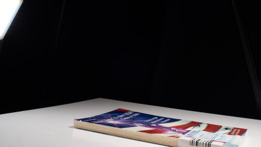 Mein Jahr in den USA: Erfahrungen - Informationen - Hinweise - Faltin, Daniel