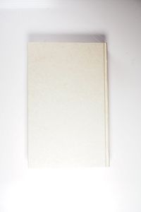 Das Buch des wahren Lebens. Lehren des göttlichen Meisters