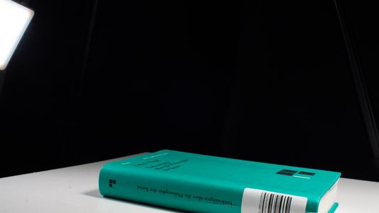 Vorlesungen über die Philosophie der Kunst