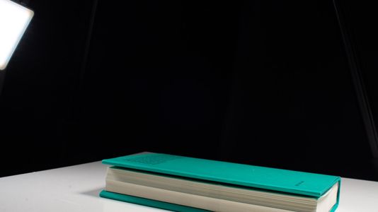 Vorlesungen über die Philosophie der Kunst