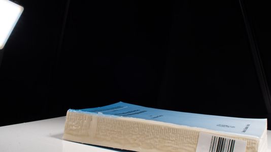 Internationalisiertes Verwaltungshandeln. - Christian Tietje