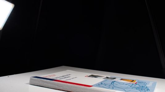 Homöopathische Tiermedizin: Praxis und Grundlagen