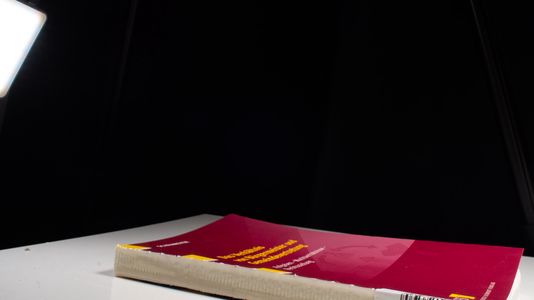 Das Verhältnis von Bürgermeister und Gemeindevertretung - Marc Schrameyer