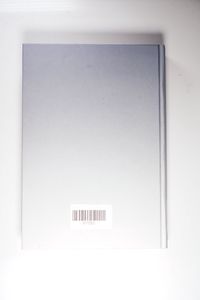 Juden in der Grafschaft Burgund im Mittelalter (Forschungen zur Geschichte der Juden / Abteilung A: Abhandlungen) - Holtmann, Annegret
