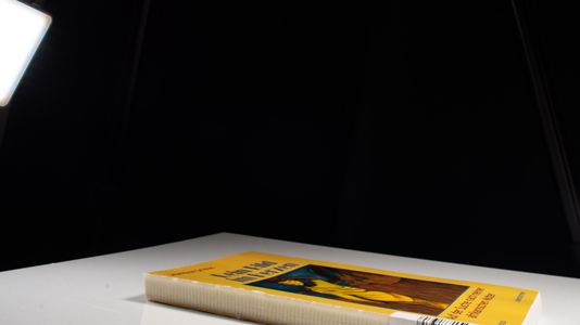 Dein Bild im Herzen: Auf der Suche nach meiner afrikanischen Mutter (Lebensformen, 18, Band 18) - Grisius, Jeannine