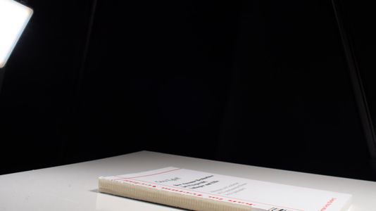 Der einsame Beobachter bei Fitzgerald, Salinger und Ellis Gïtz Egloff Author