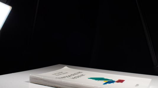 Therapeutisches Verstehen : effektive Strategien der Informationsverarbeitung bei Therapeuten. - Becker, Karin und Rainer Sachse
