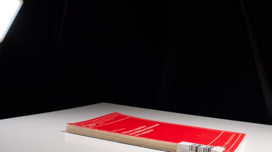 Reichweite richterlicher Inamovibilität im Verfassungsstaat des Grundgesetzes