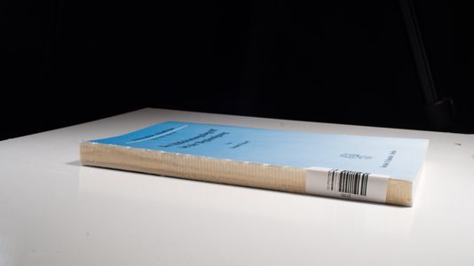 Der Hilfeleistungsbegriff bei der Begünstigung. - Daniel Weisert