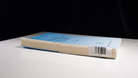 Strafprozeß und allgemeines Mißbrauchsverbot. - Hans Kudlich