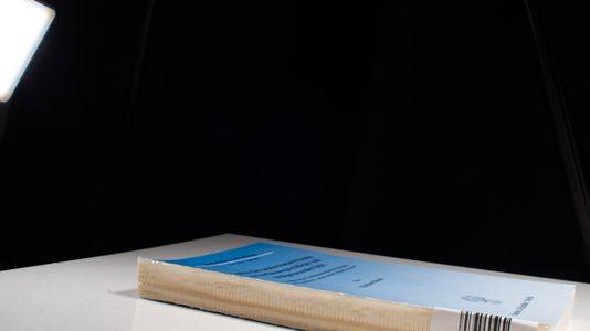 Aspekte des nemo-tenetur-Prinzips aus verfassungsrechtlicher und strafprozessualer Sicht.