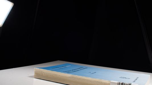 Abstrakte Gefährdungsdelikte und Präsumtionen im Strafrecht. : Dissertationsschrift - Eva Graul