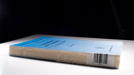 Glockenläuten und Uhrenschlag. : Der Gebrauch von Kirchenglocken in der kirchlichen und staatlichen Rechtsordnung. - Ansgar Hense