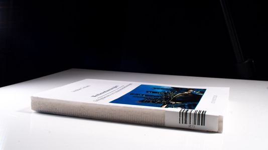Wettbewerbsstrategien. Erfolgsfaktoren von Auslandsniederlassungen - Stephan Gerbach