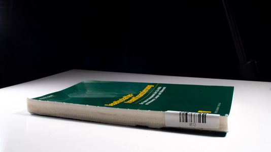 Gesellschafterfremdfinanzierung: Die Frage der Vereinbarkeit des § 8a KStG mit Verfassungs-, Europa- und Völkerrecht - Dr. jur. Roberto Bartone