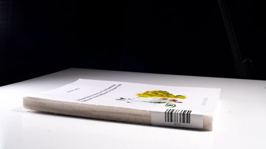 Isotopendiskriminierung und Enantioselektivität - Basis der Authentizitätsbewertung biogener Stoffe - Jung, Jochen