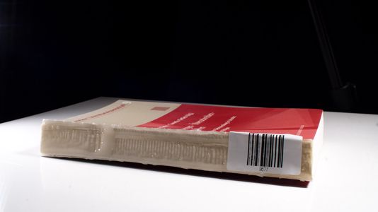 Verbergen ? Überschreiben ? Zerreißen: Formen der Bücherzerstörung in Literatur, Kunst und Religion (Allgemeine Literaturwissenschaft. Wuppertaler Schriften)