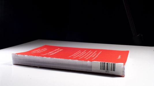 Neue Aspekte von Marx Kapitalismus-Kritik