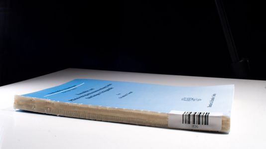 Kausalität und Pflichtwidrigkeitszusammenhang beim fahrlässigen Erfolgsdelikt. Strafrechtliche Abhandlungen ; N.F., Bd. 75. - Toepel, Friedrich