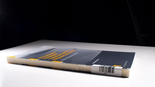 Den kommunalen Haushaltsplan - kameral und doppisch - richtig lesen und verstehen: Leitfaden für Rat und Verwaltung - Schwarting, Gunnar