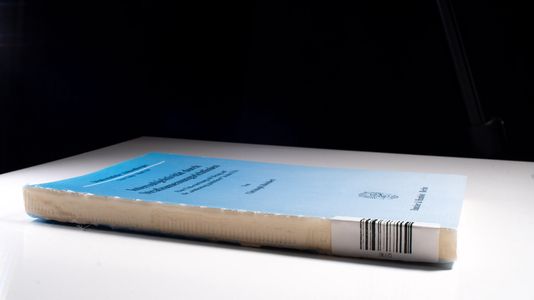 Intersubjektivität durch Strafzumessungsrichtlinien. - Christoph Reichert