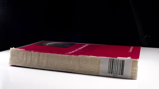Lücken im Lebensschutz - Mareike Klekamp