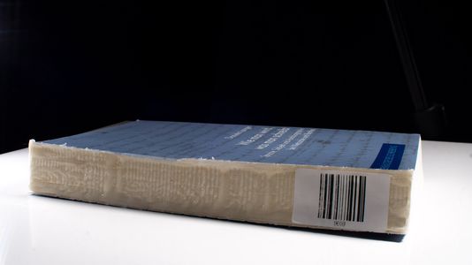Wie man wird, was man schreibt : Sprache, Subjekt und Autobiographie bei Nietzsche und Barthes - Daniela Langer