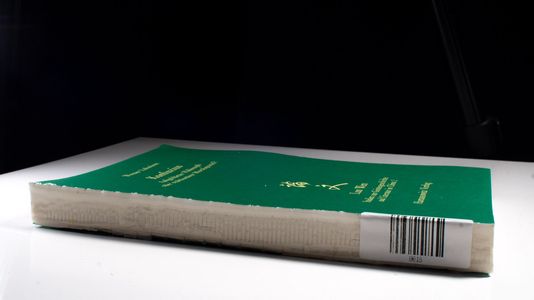 Konfuzius - Aufgeklärter Philosoph oder reaktionärer Moralapostel? Der Bruch in der Konfuzius-Rezeption der deutschen Philosophie des ausgehenden 18. und beginnenden 19. Jahrhunderts