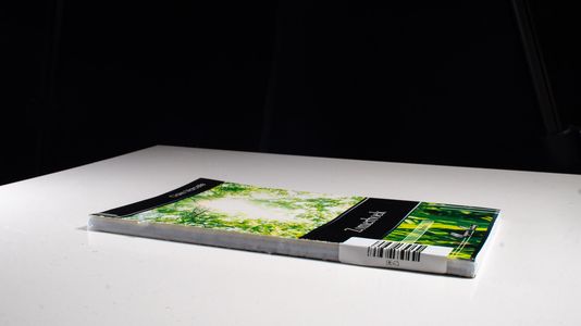Zomerboek Roman - Claire, Marcelle