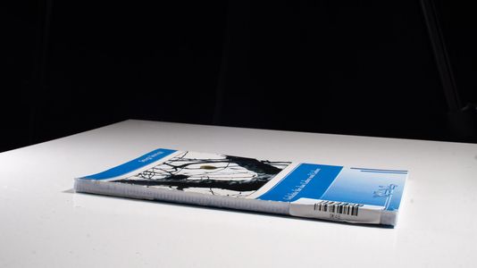 Gedichte für das Leben und Lieben (Livre en allemand) - Sevgi Tinmaz