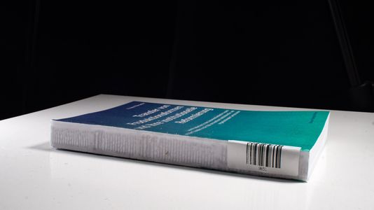 Transfer von Produktionsformen und ihre institutionelle Reformierung