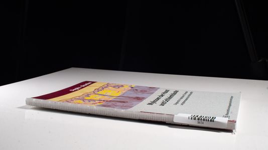 Mykosen der Haut und Schleimhäute: Diagnostik, Prophylaxe, Therapie und pharmazeutische Wirkstoffe - Degitz, Klaus