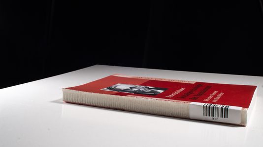 Sozialpsychologie des Kapitalismus